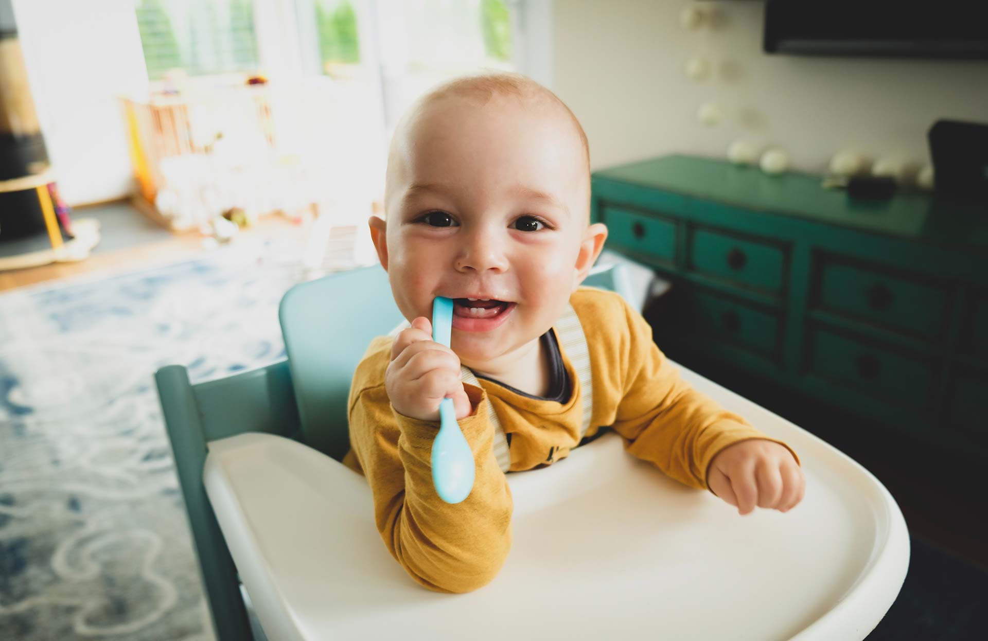 Comparatif Des 10 Meilleures Chaise Haute Bebe Avis Et Test