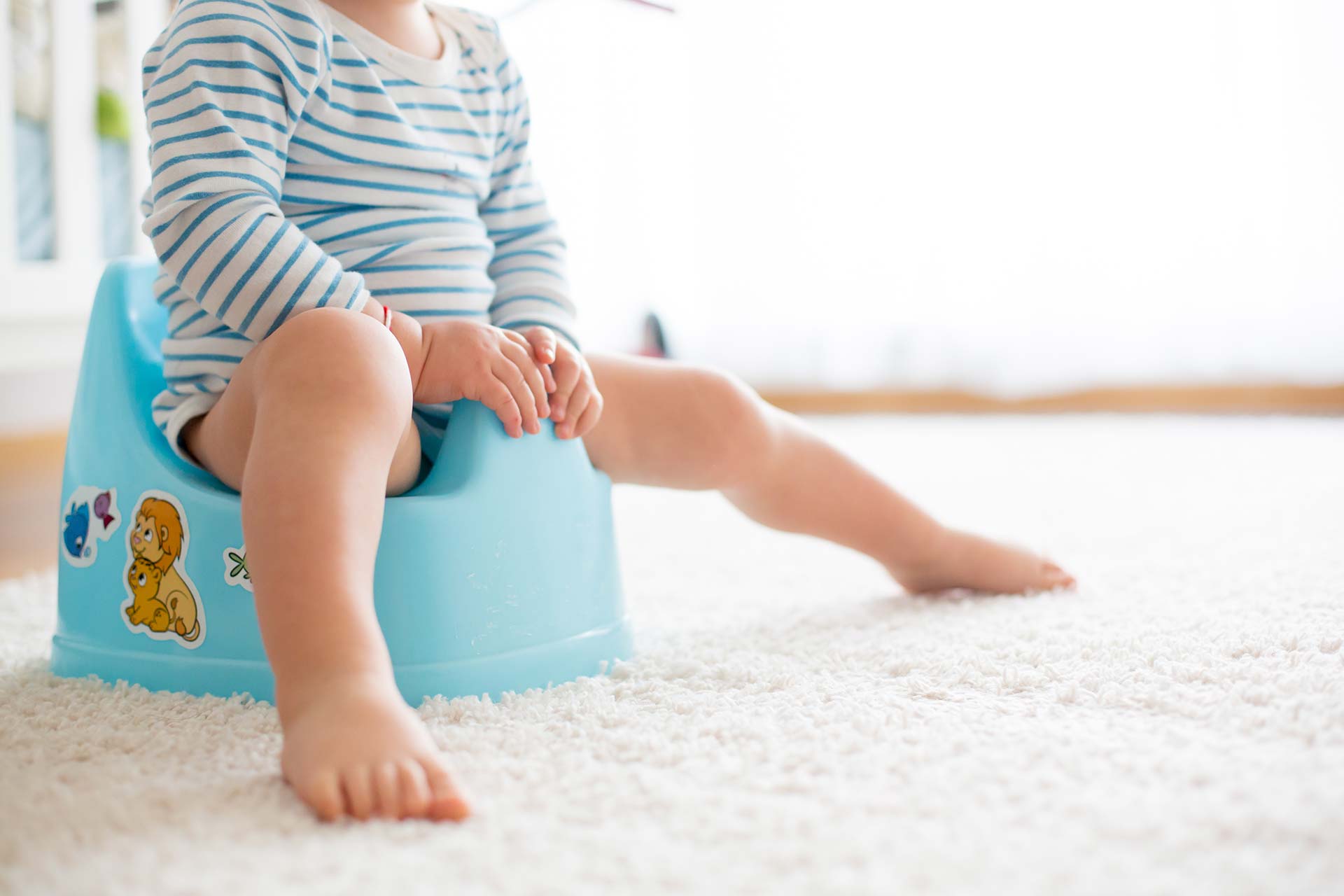 Comparatif des meilleurs pots bébé de toilette : avis et guide d'achat